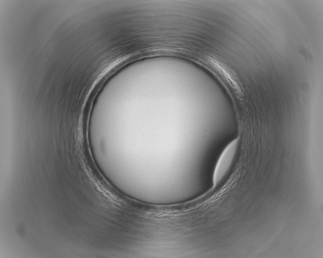 X0000116130884200912071220