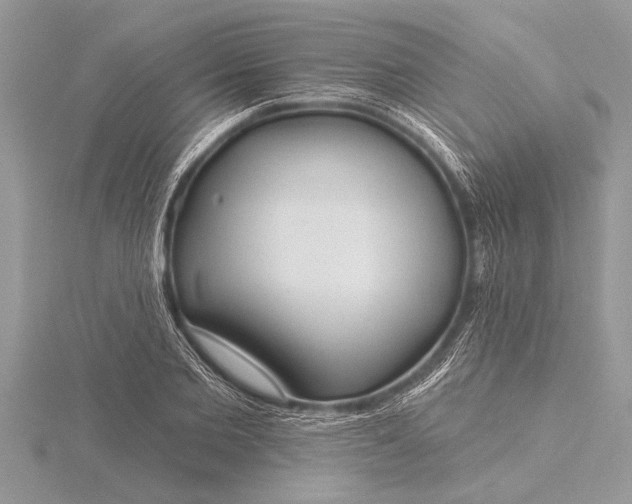X0000116130885200912071220