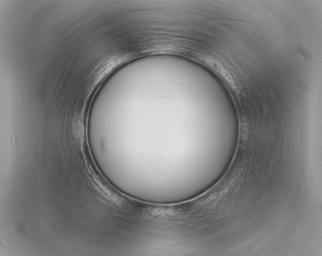 X0000116130890200912071220