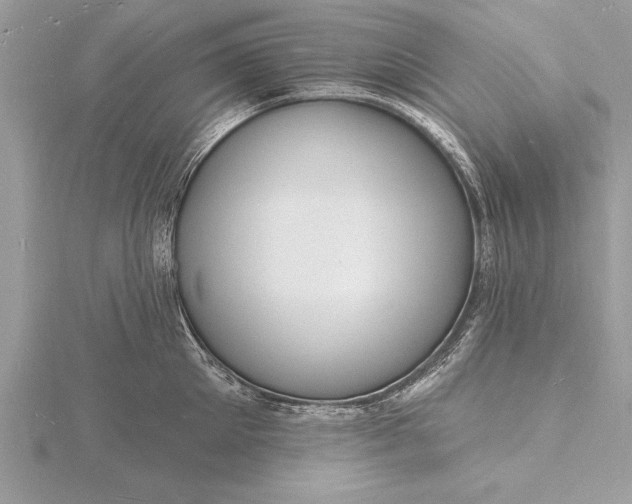 X0000116130905200912071220