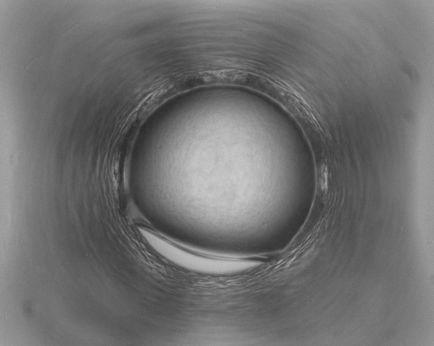 X0000116130915200912071219