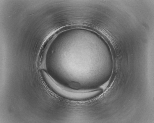 X0000116130925200912071219