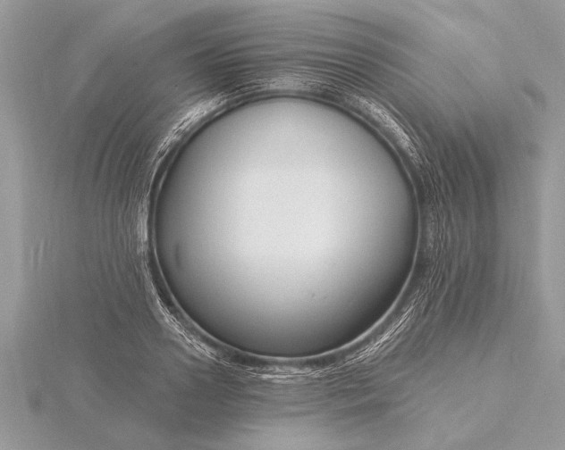 X0000116130938200912071220