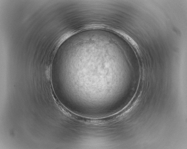 X0000116130953200912071220