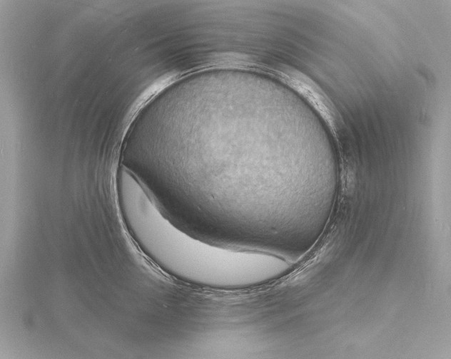X0000116130954200912071220