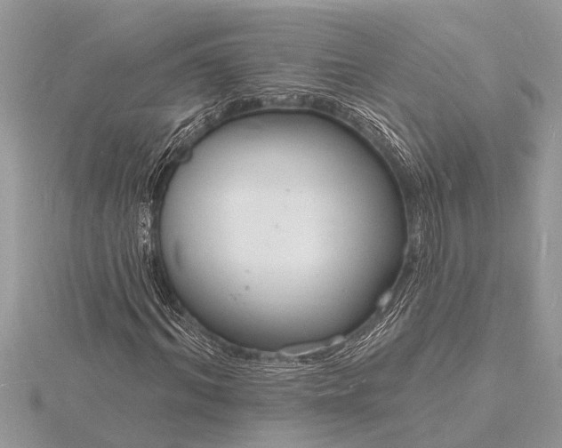 X0000116130964200912071219