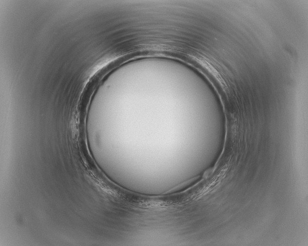 X0000116130971200912071219