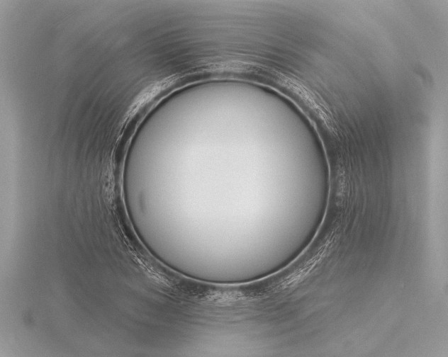 X0000116130978200912071219
