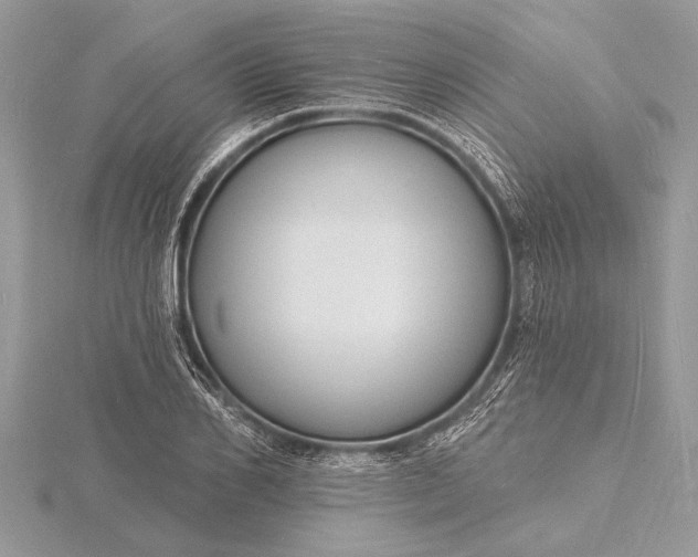 X0000116130982200912071219