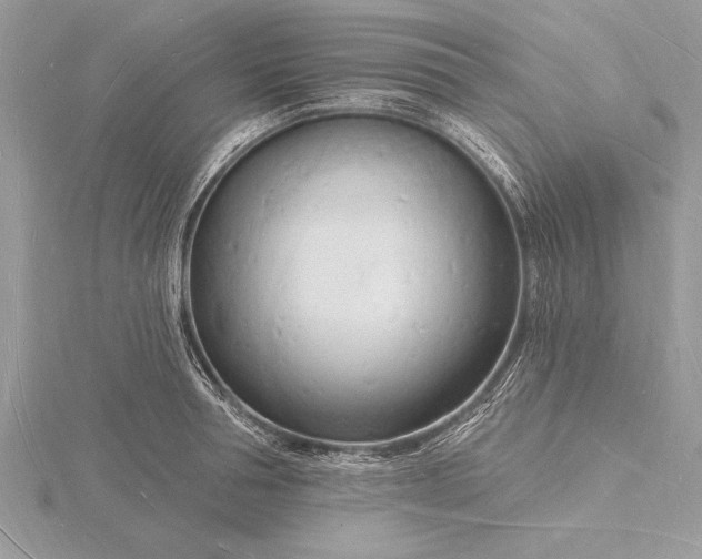 X0000116130994200912071219