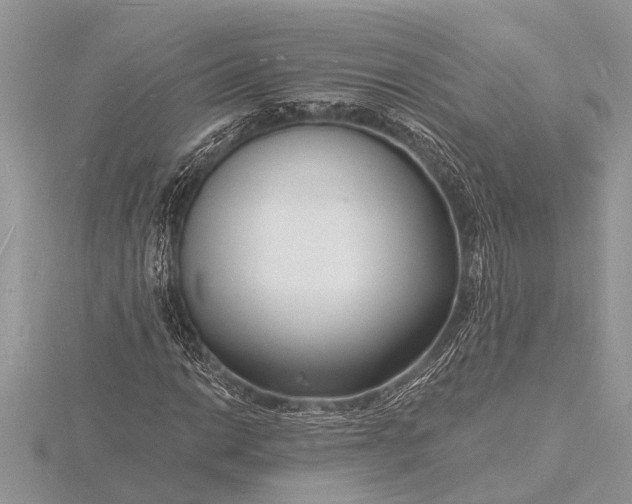 X0000116131014200912071218