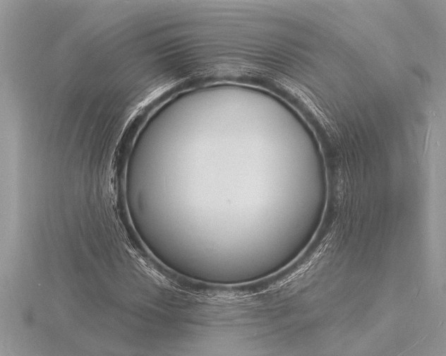 X0000116131018200912071218