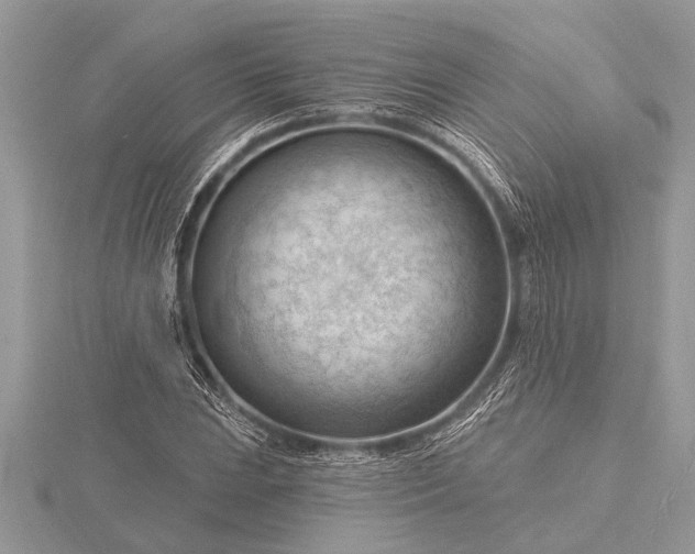 X0000116131023200912071218