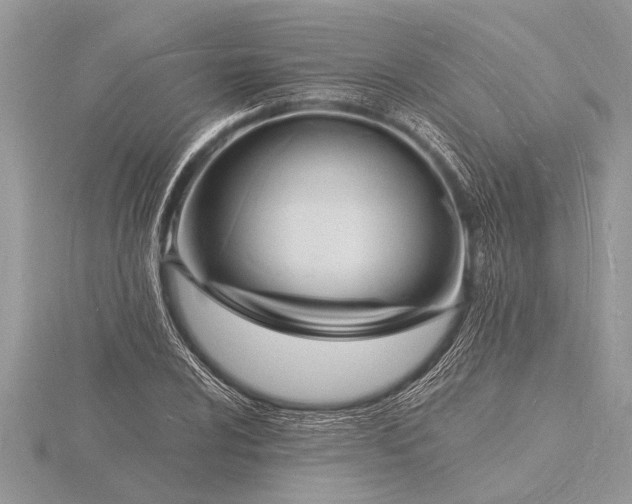 X0000116131024200912071218