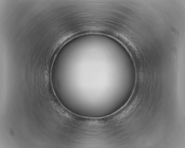 X0000116131025200912071218