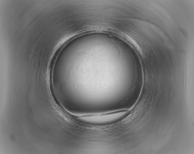 X0000116131035200912071218