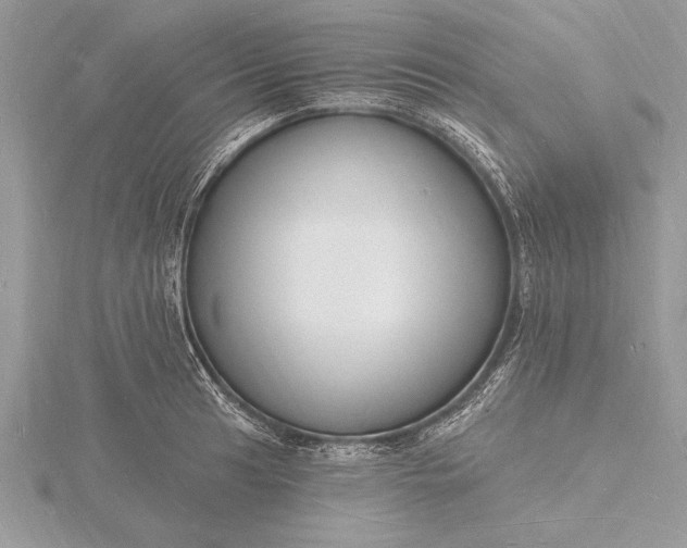 X0000116131041200912071218