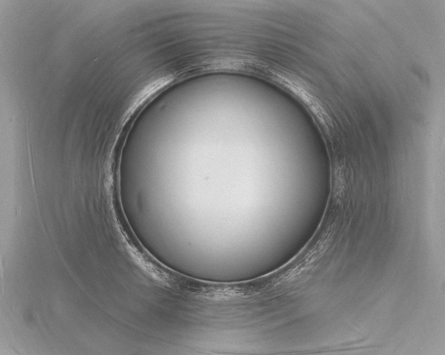 X0000116131042200912071218