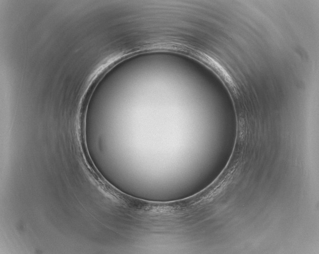 X0000116131043200912071218