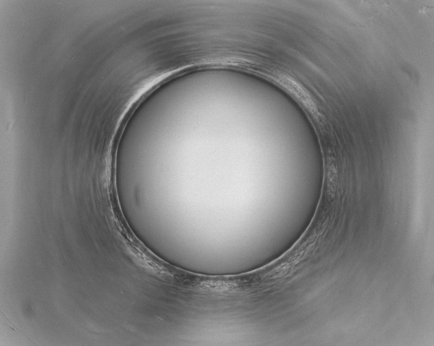 X0000116131044200912071218