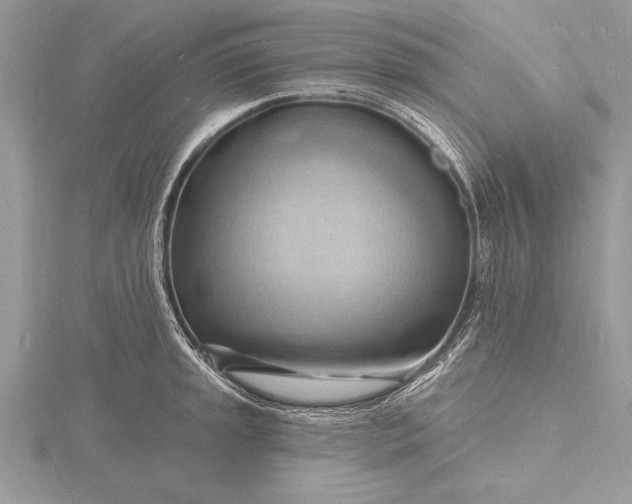 X0000116131045200912071218