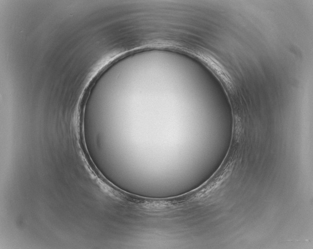 X0000116131046200912071218