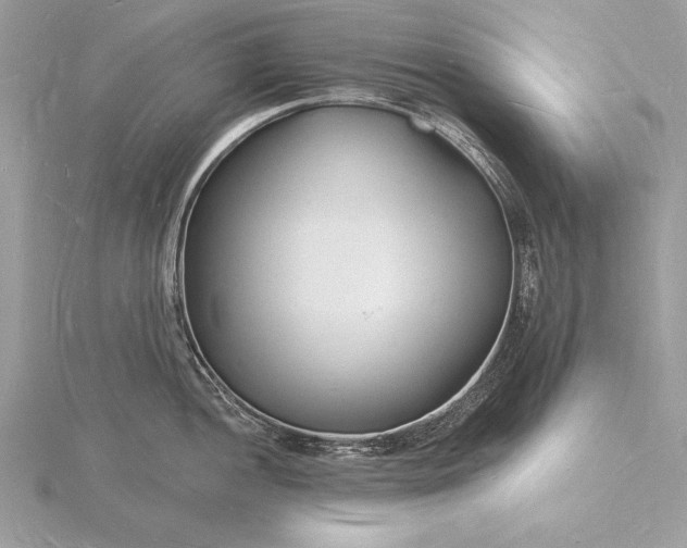 X0000116131052200912071219
