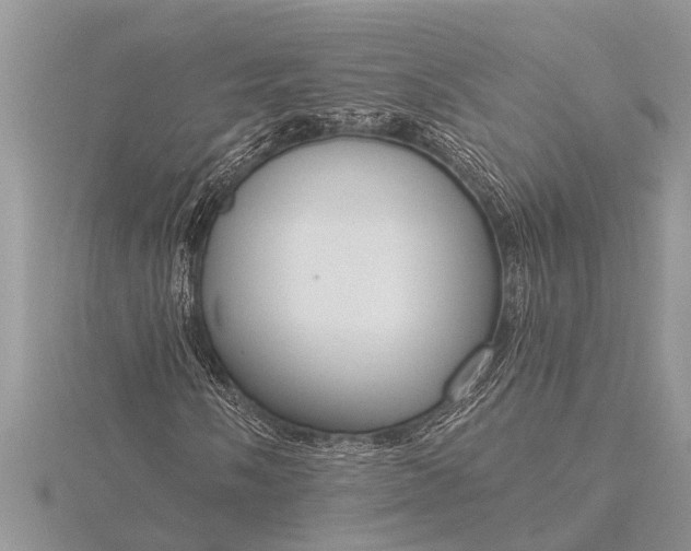 X0000116131058200912071218