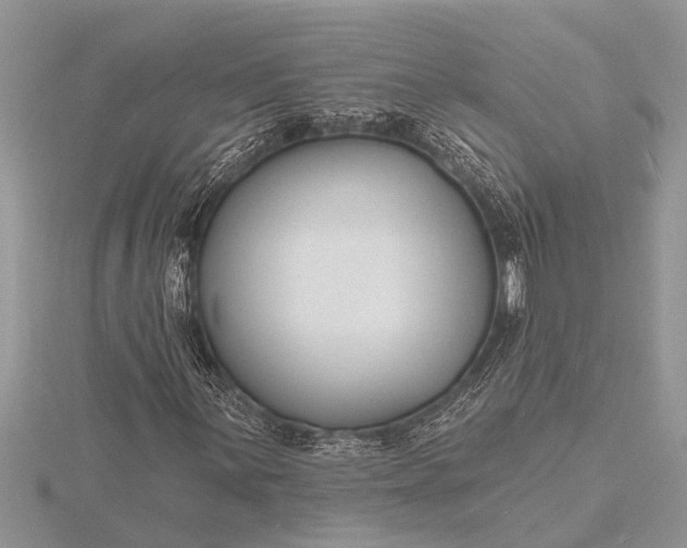 X0000116131059200912071218