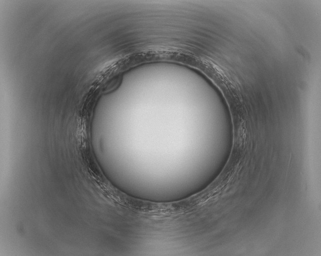 X0000116131062200912071218