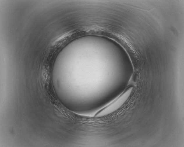X0000116131063200912071218