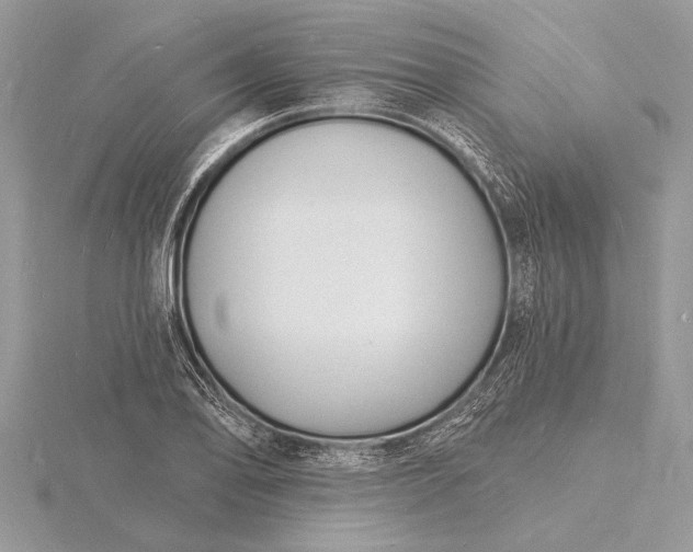 X0000116131078200912071218