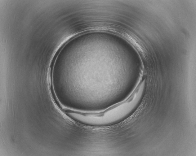 X0000116131084200912071218