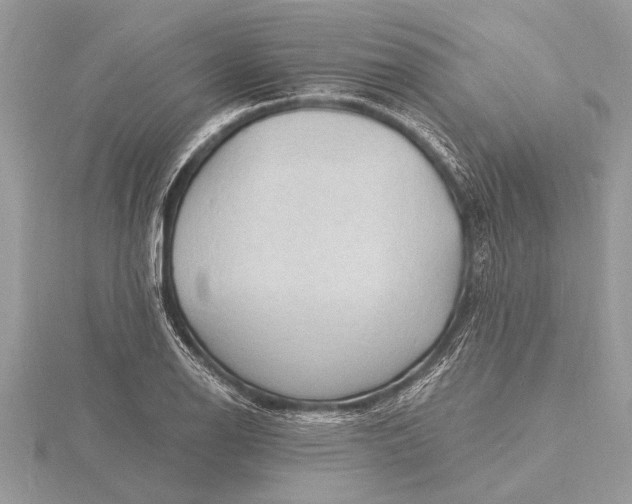 X0000116131126200912071217
