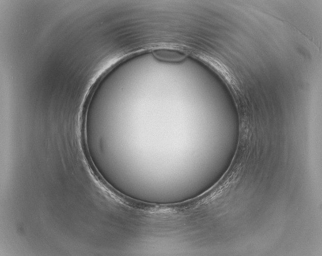 X0000116131135200912071217