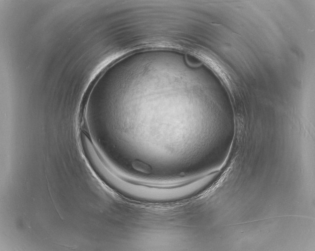 X0000116131141200912071217