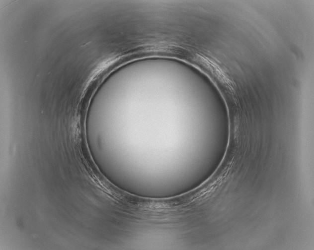 X0000116131164200912071217