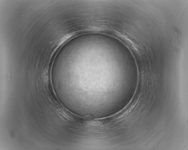 X0000116131170200912071216