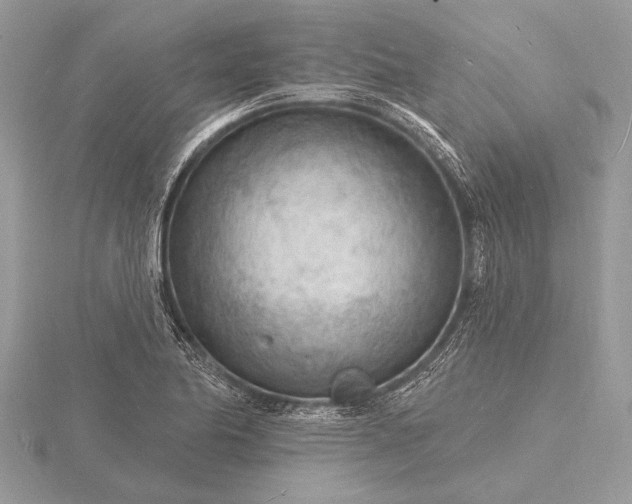 X0000116131174200912071216