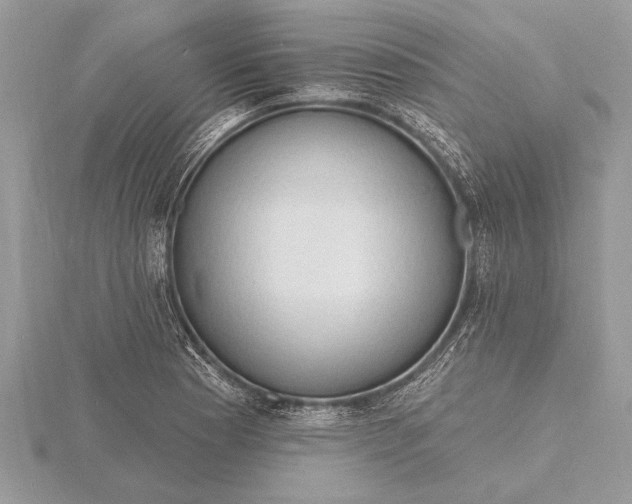 X0000116131177200912071216