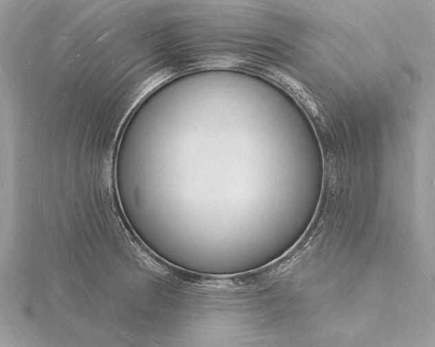 X0000116131186200912071216