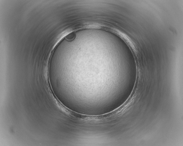 X0000116131194200912071216