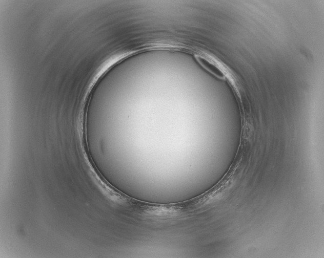 X0000116131195200912071216