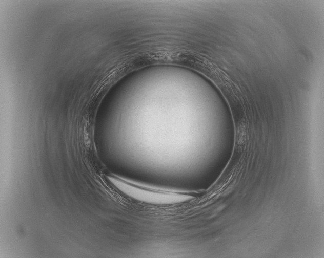 X0000116131202200912071215