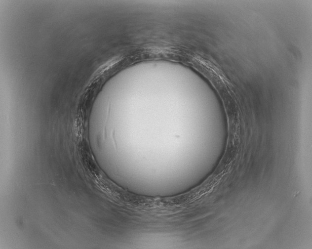 X0000116131207200912071215
