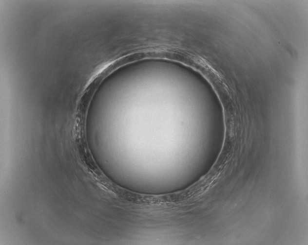 X0000116131208200912071215