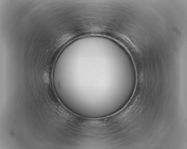 X0000116131209200912071215