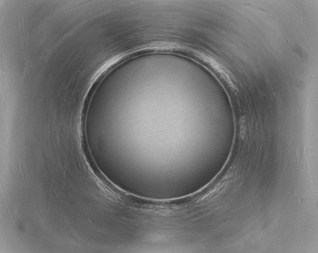 X0000116131229200912071216