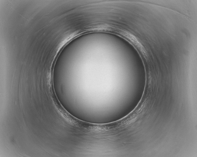 X0000116131234200912071216