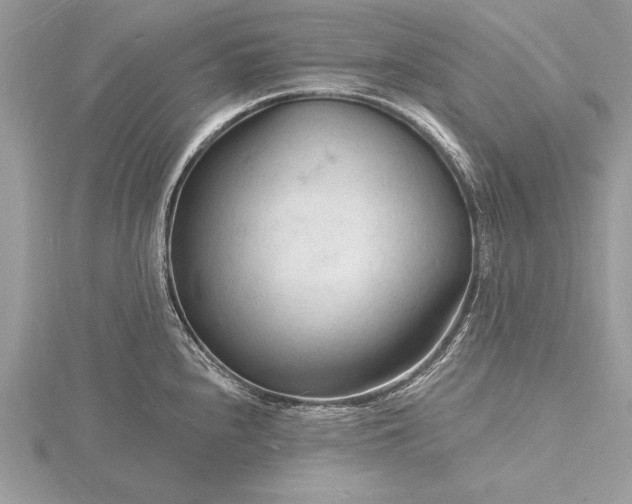 X0000116131240200912071216